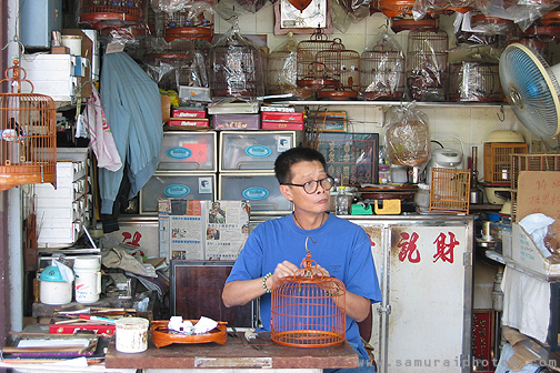 bird cage maker